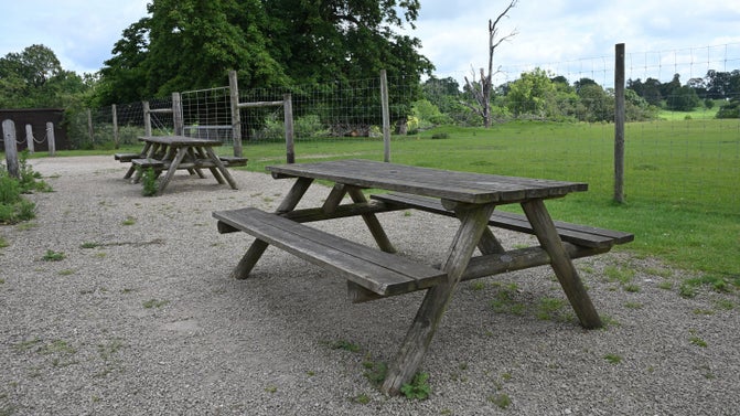 Picnic benches by the enclosed deer park at Calke Abbey, Derbyshire